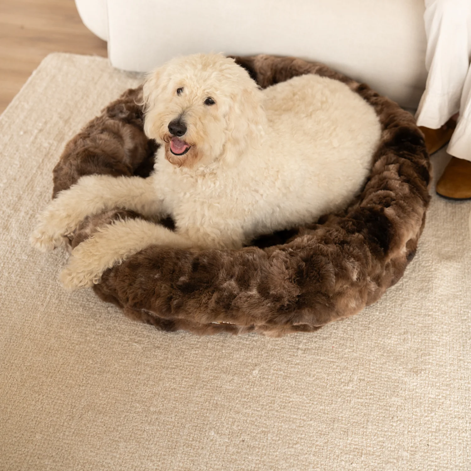 Luxurious Donut Bed 1+1 - Image 7