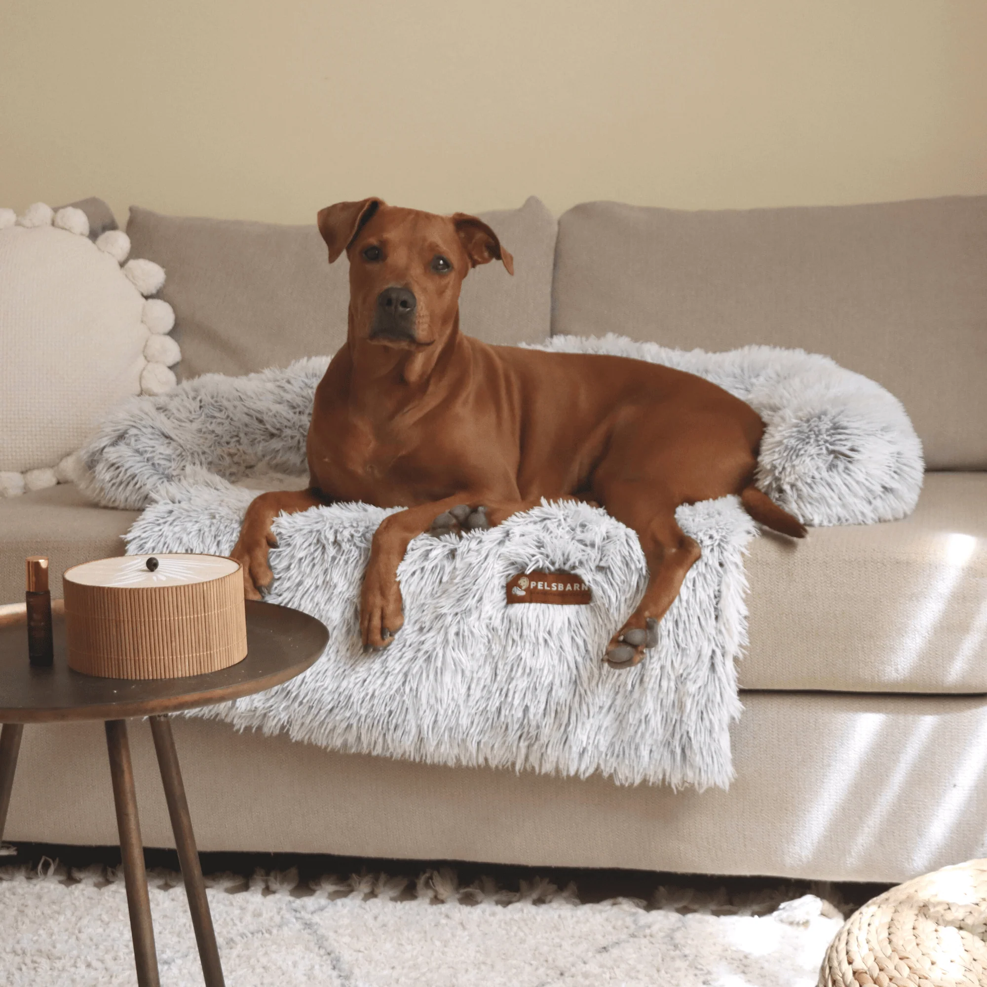 NEW Upgraded Calming Pelsbarn Bed - Image 3