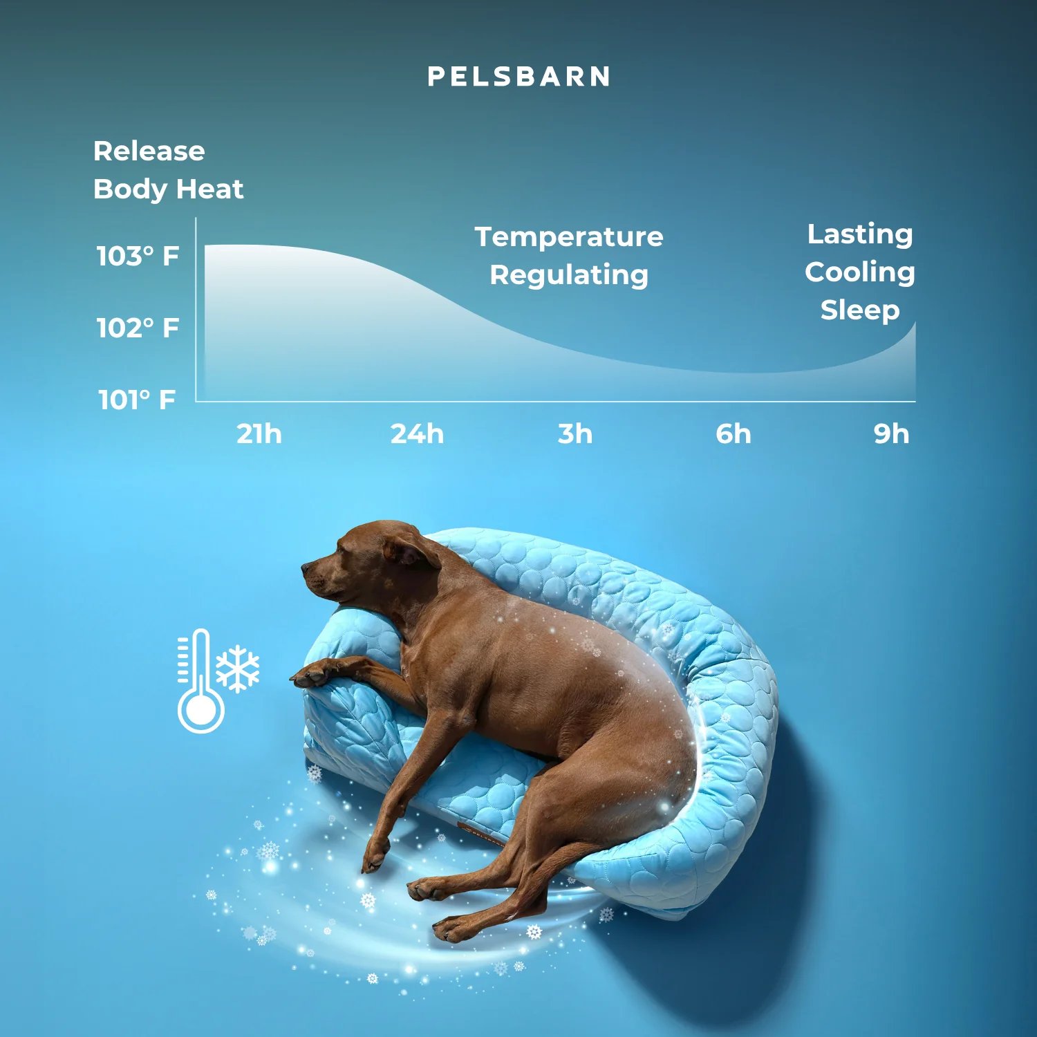 Orthopedic Cooling Dog Bed - Image 6