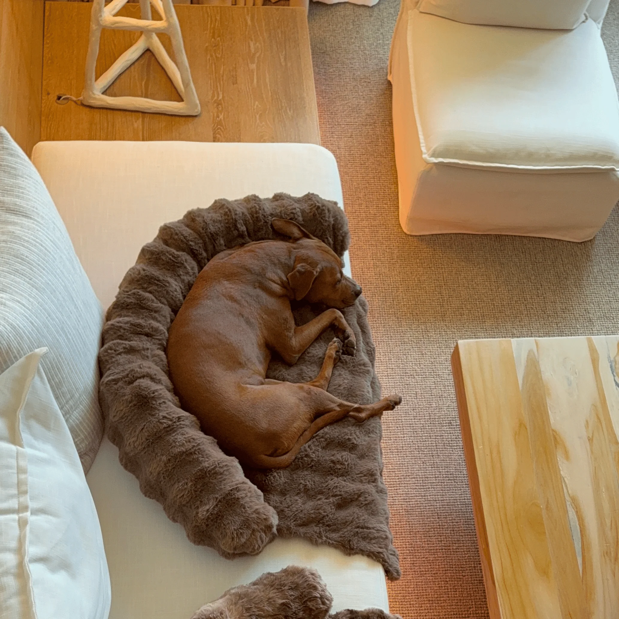 Pelsbarn Luxurious Sofa Bed - Image 16
